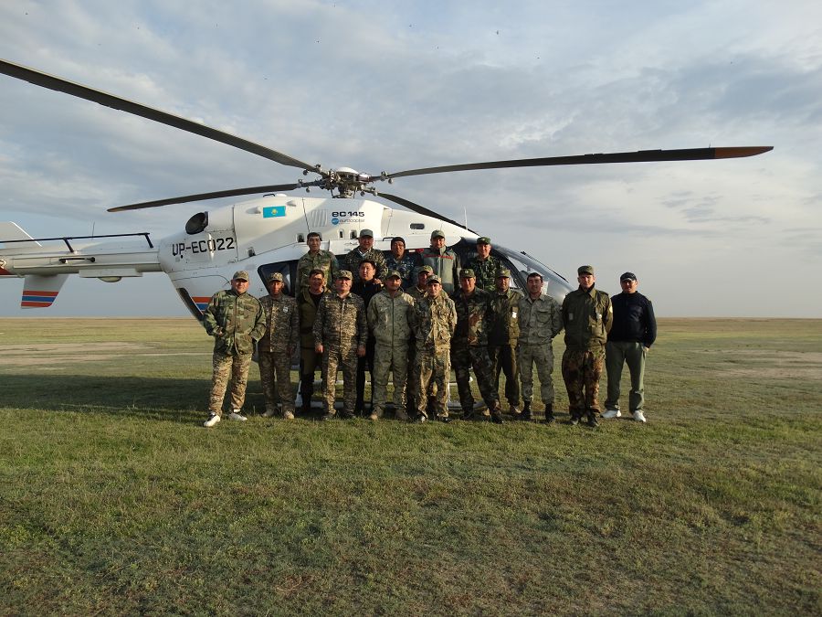 Keń dalanyń kıesi kıikter kóbeıip keledi