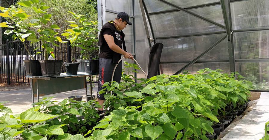 Jezqazǵandaǵy «jeruıyq»