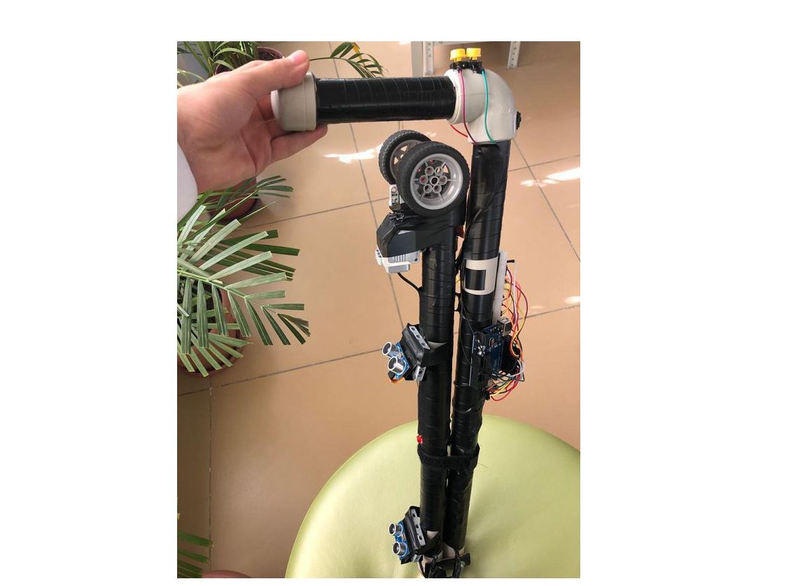 Zaǵıp jandarǵa arnalǵan aqyldy súıený taıaǵyn jasady