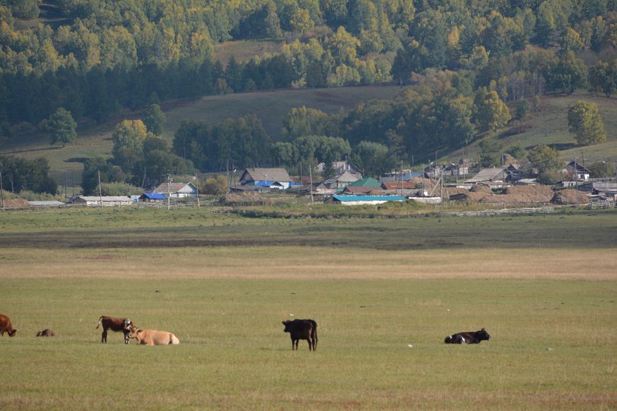 Jergilikti halyqtyń áleýeti artady
