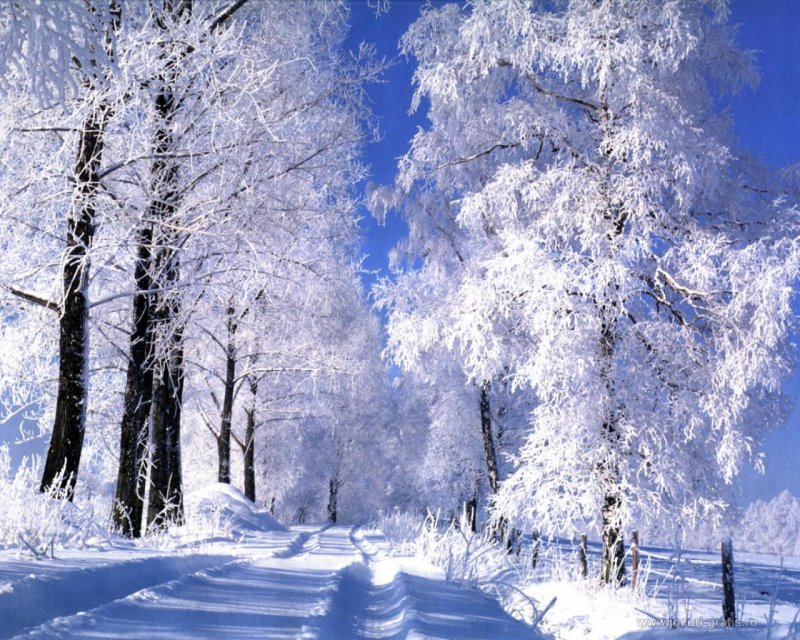 Kúnniń sýytýy KVI aýrýynyń órshýine áser ete me?