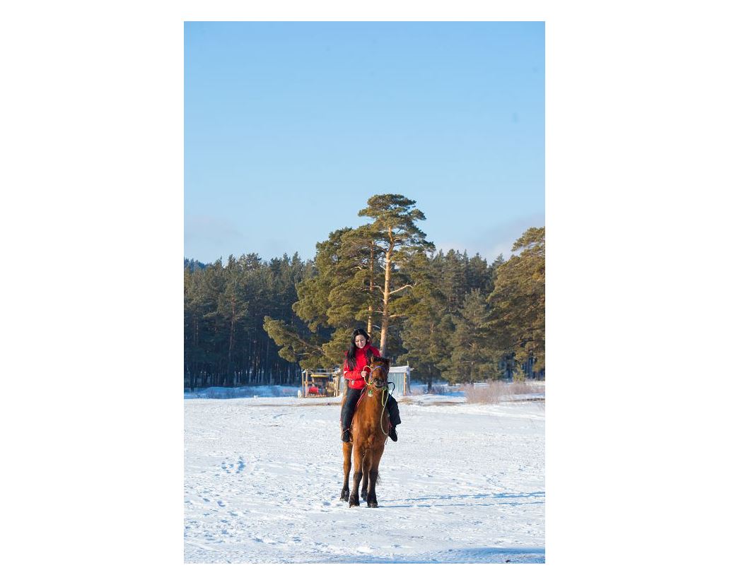 Kýrorttyq aımaq qysqy maýsymǵa qamdanýda