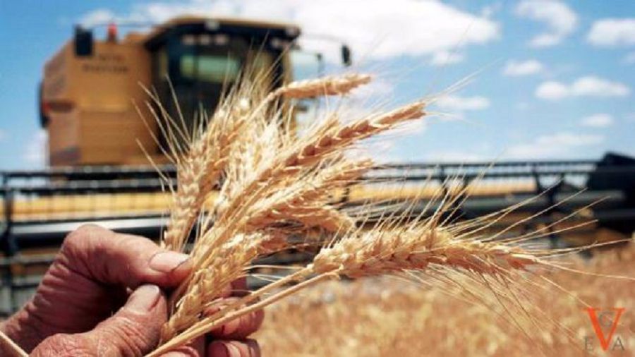 Jer ıesin tapsa, ıgilik molaıady