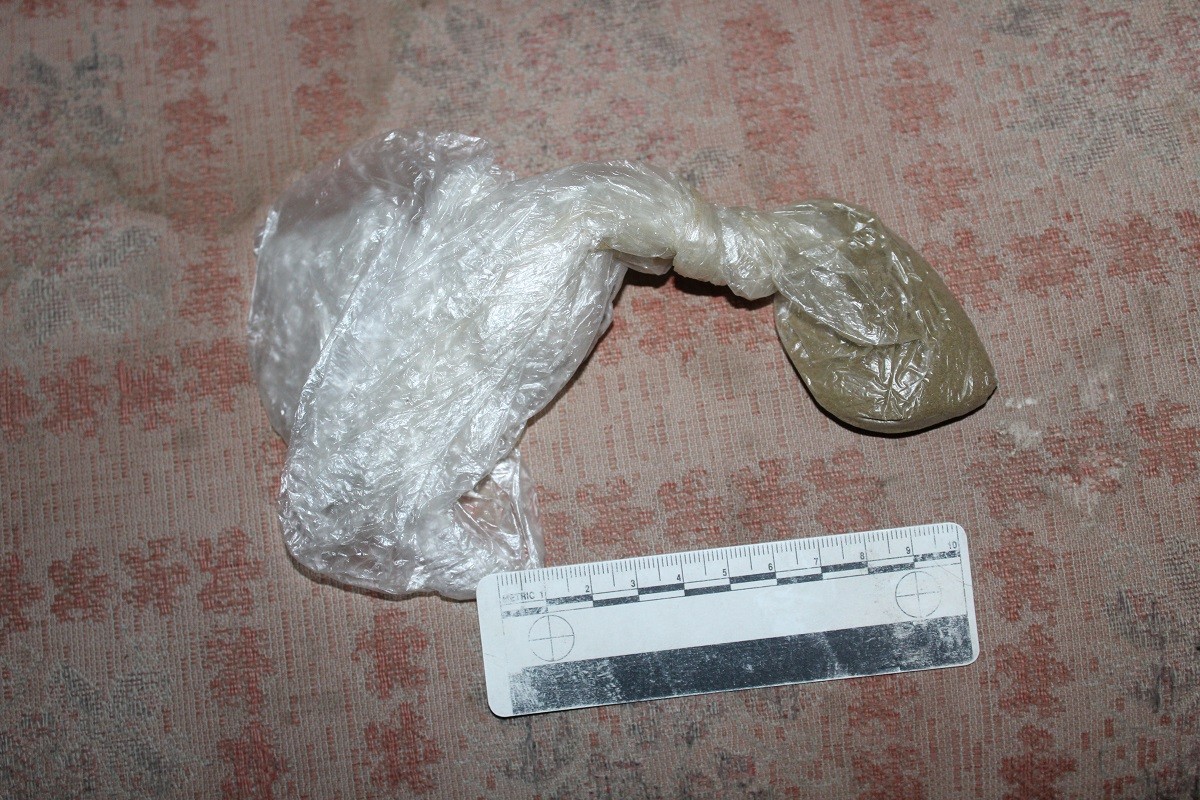 Keptirilgen qarasorany úıine saqtaǵan baqtashy ustaldy