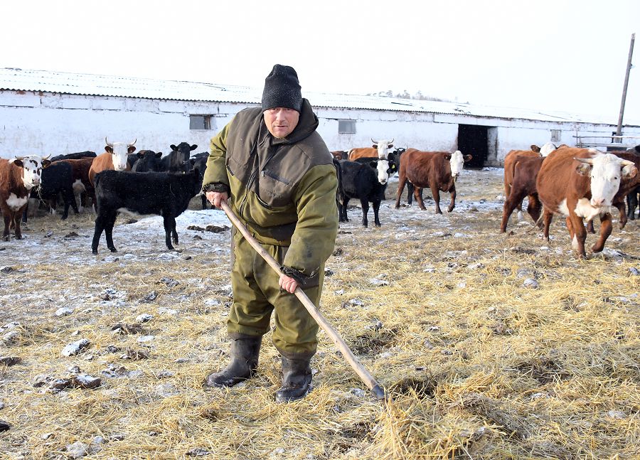 Týǵan aýylyn túletken