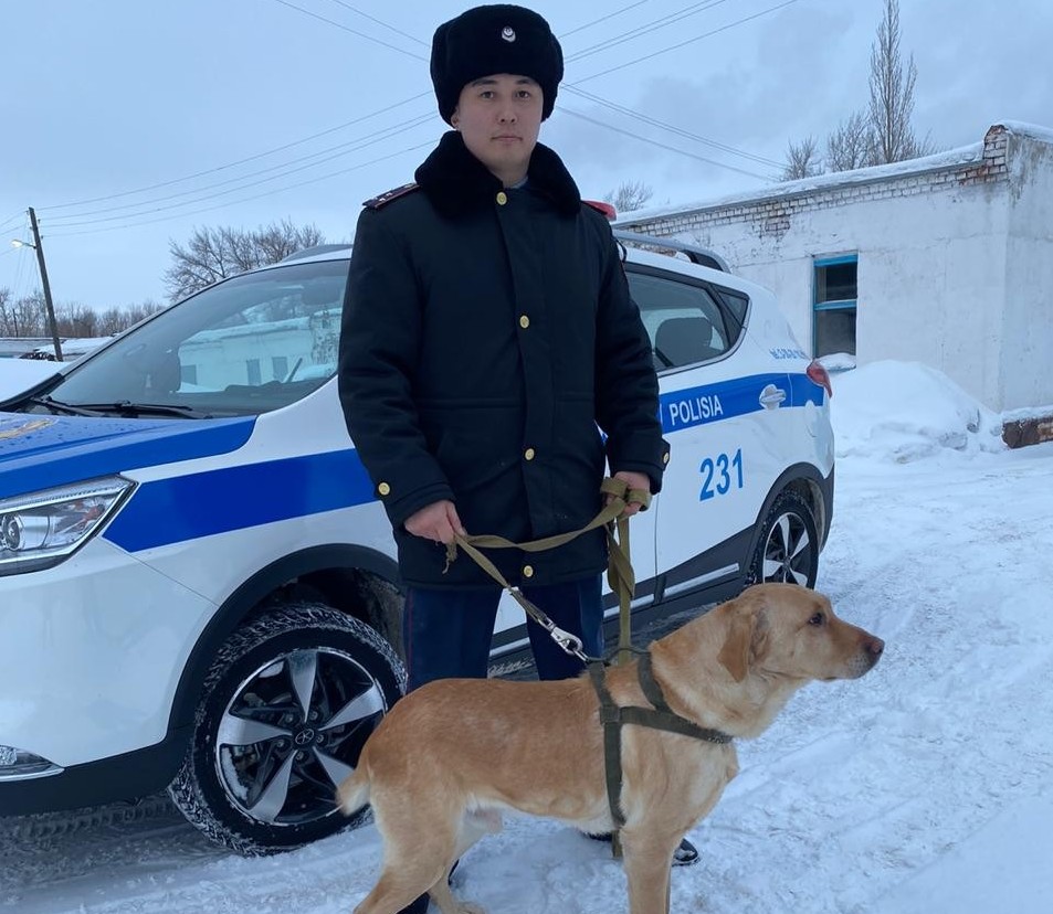 Qostanaılyq polıseıler 474 qylmysty qyzmettik ıttiń kómegimen ashqan