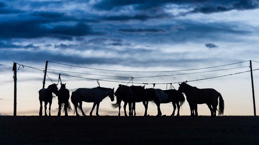 Kóshpendilerdiń kerme mádenıeti