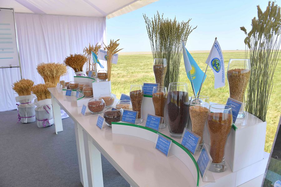 Eksport: Bıdaıdyń bási, unnyń básekesi joǵary