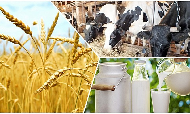 Mal baǵyp, dúken ashyp...