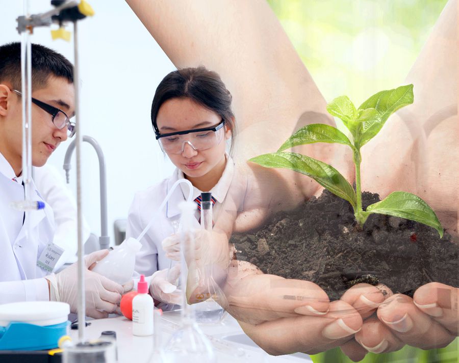 Kákimjan Sarhanov: «Suranysqa ıe ónim shyǵaratyn orta qurý kerek»