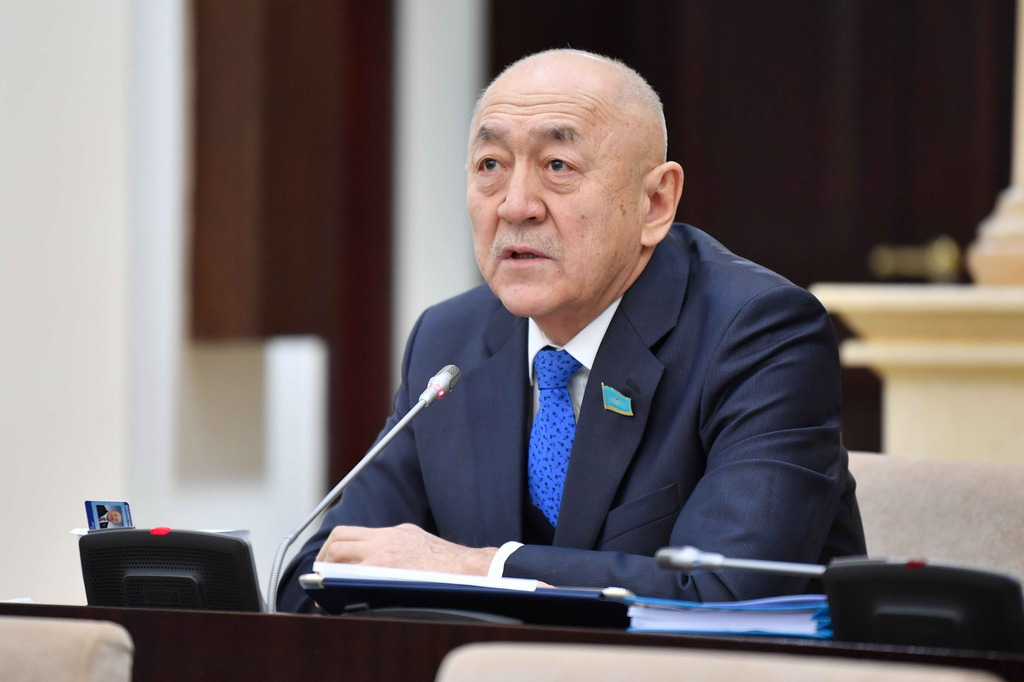 Senat depýtaty NATO Parlamenttik Assambleıasynyń 66-shy sessııasyna qatysýda