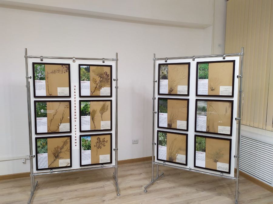 Almatylyq jýrnalıster elimizdegi eń baı gerbarııge bardy