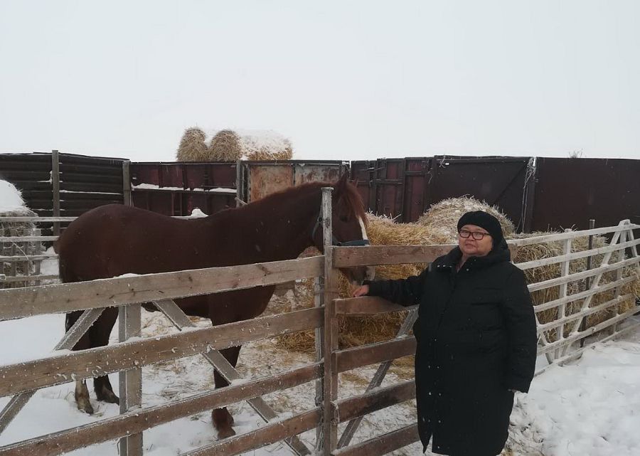 «Ádiljan» – áleýetti sharýashylyq