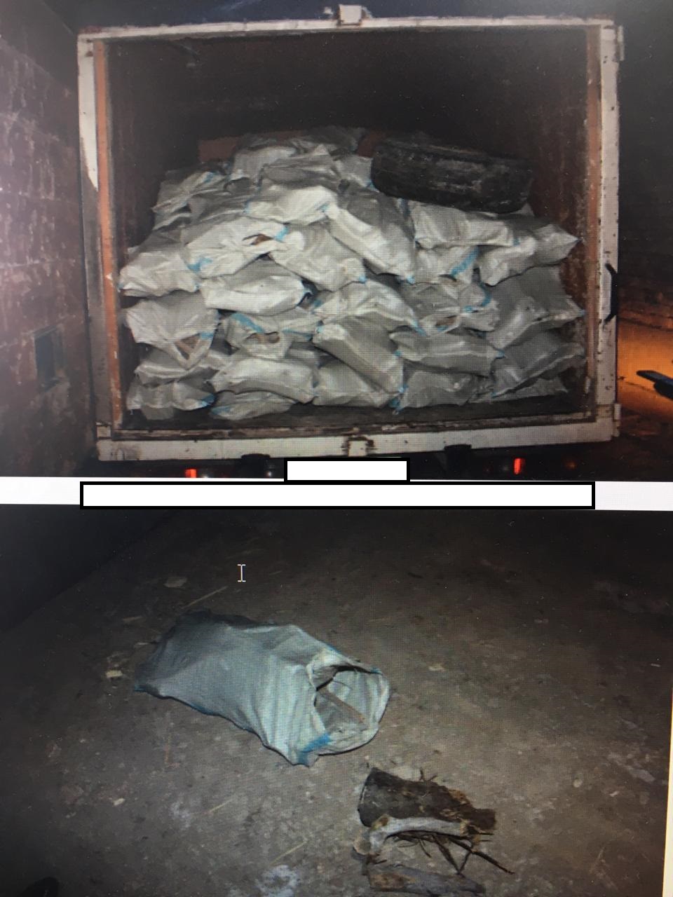 Ormanshylarǵa baǵynbaǵandar  ustaldy