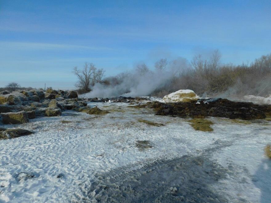 SQO-da bireýdiń jınaǵan shóbin órtegender ustaldy