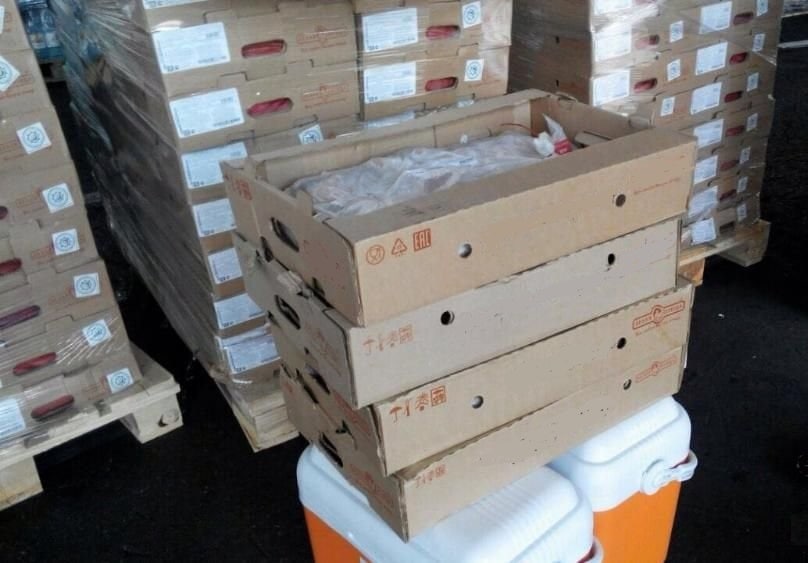 Reseıden ákelingen qus eti ónimderiniń syrtqy qaptamalarynan koronavırýs anyqtaldy