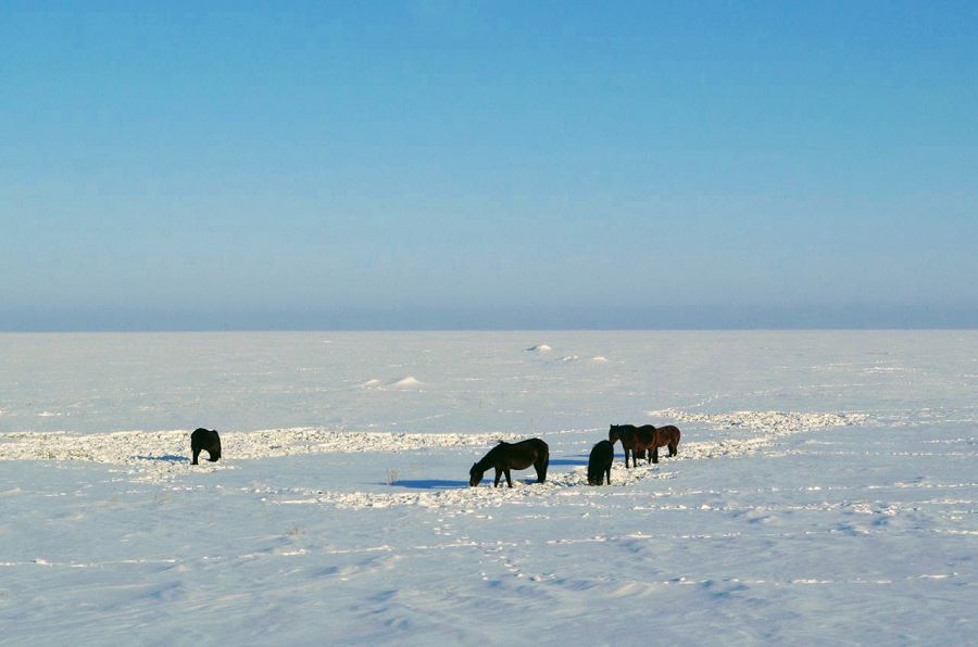 Malyńa abaı bol, aǵaıyn!