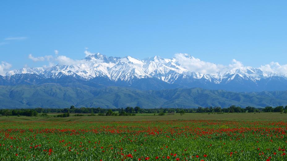 Bir shymshym topyraq