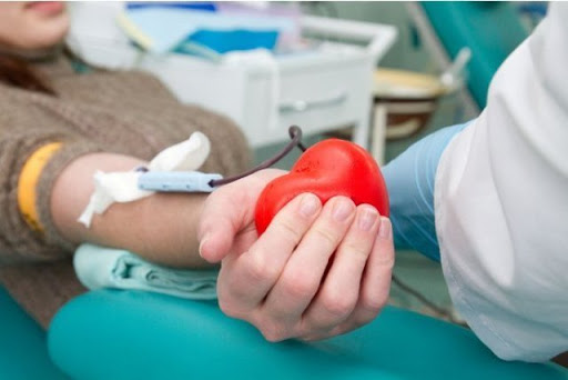 Úzilip bara jatqan jannyń ómirine qorek tamyzǵan