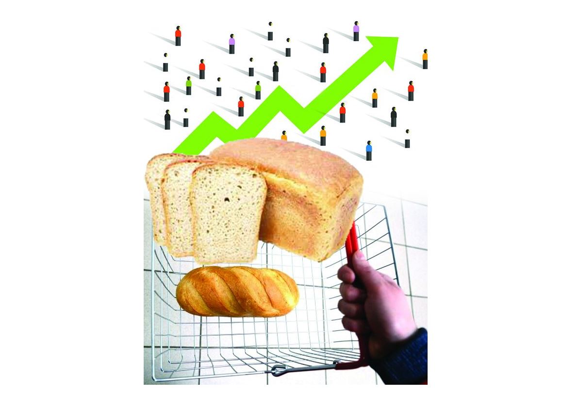 Nan baǵasy nege qymbattady?