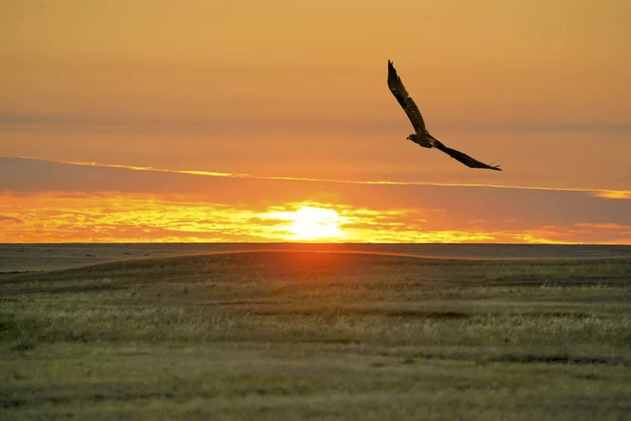 Myńjyldyq dala folklory