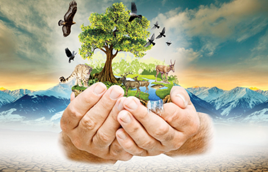 Tabıǵatty qorǵaý tárbıelik sharalarmen shektele me?