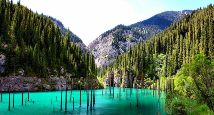 Týrısti joq el – tabysy joq el