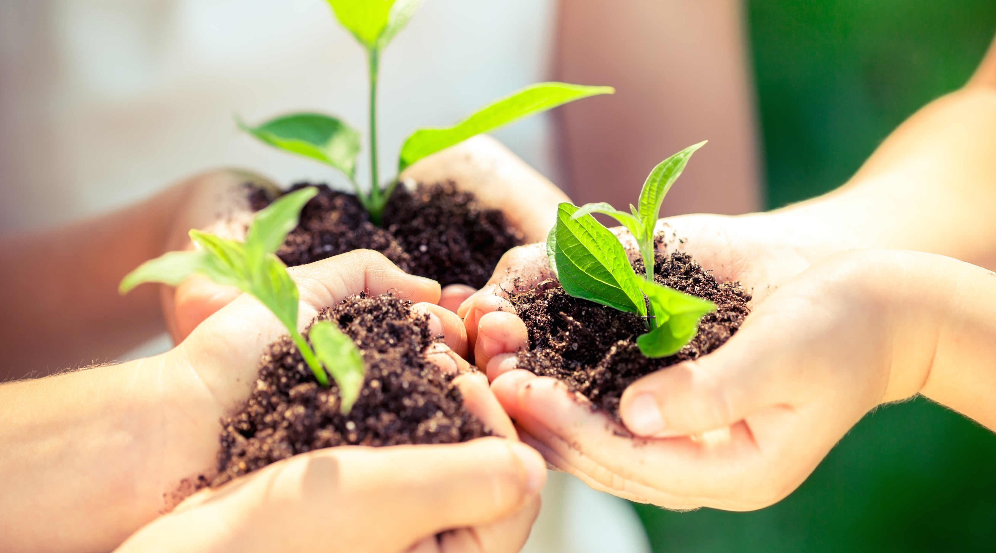 Ekologııalyq bilim berý mektepke deıin bastalǵany jón