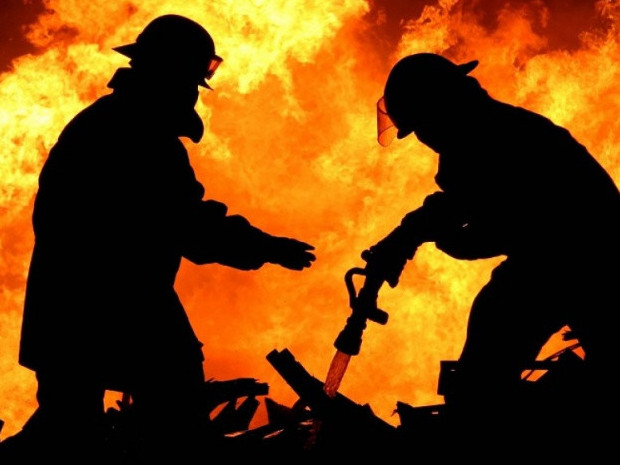 Aqmolada jylý berý maýsymy bastalǵaly órt jıiledi