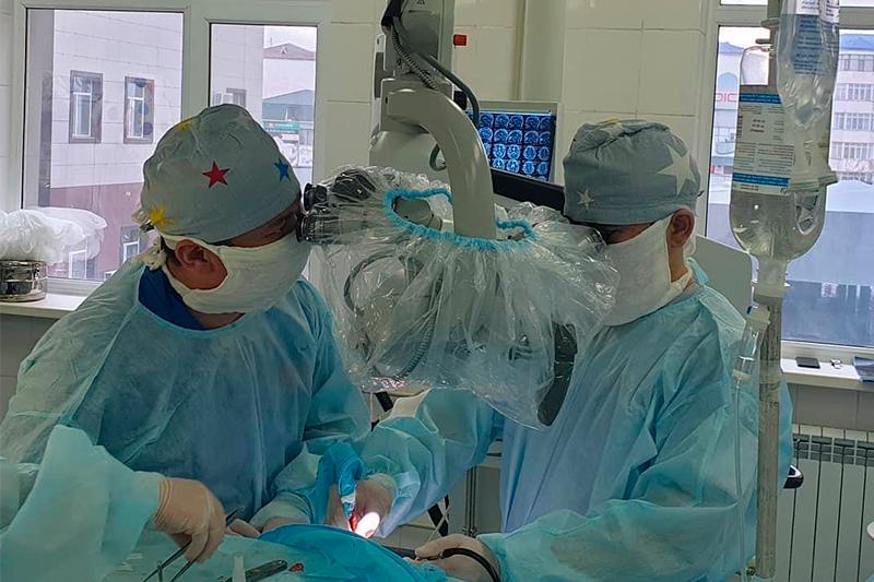 Qostanaı oblysynda 200-ge jýyq ota tegin jasaldy