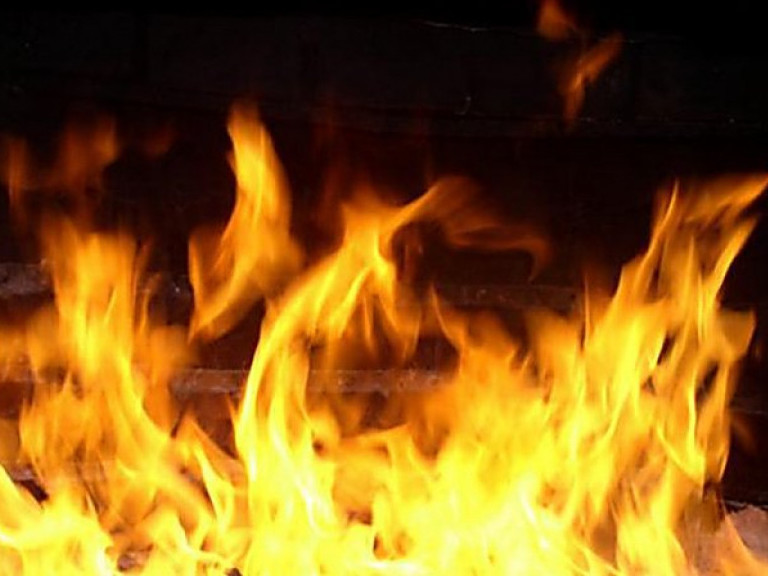 Jarkentte balabaqshada órt shyqty