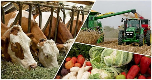 Túrkistan oblysynda 481,3 mlrd teńgeniń ónerkásip ónimi óndirildi