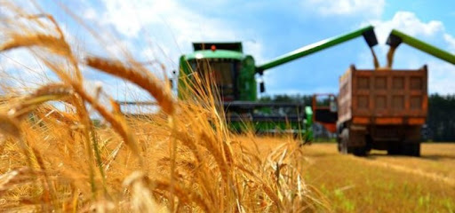 О́ńirde ónim óńdeýdiń órisi keń