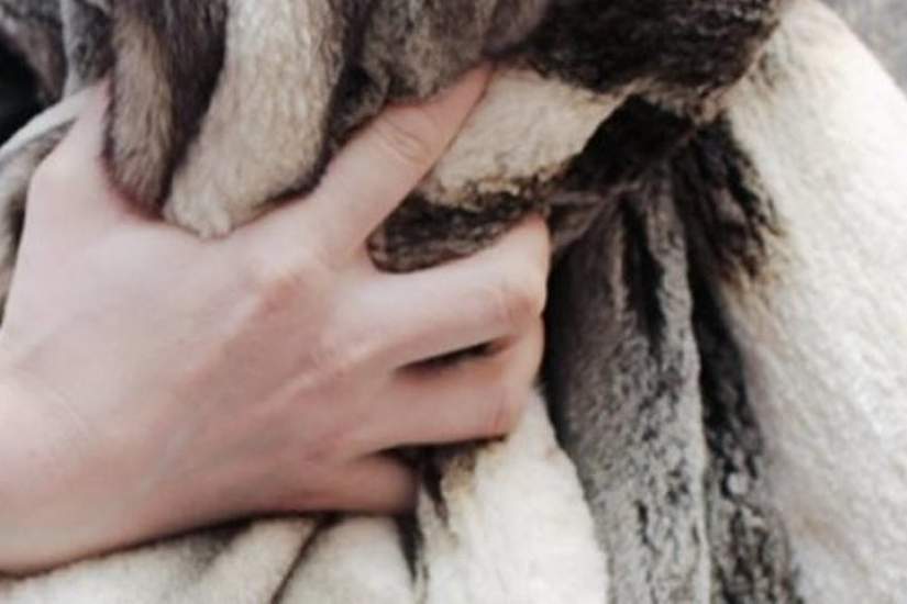 Qyzylordada  úıge urlyqqa túskender ustaldy