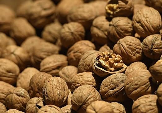 Túlkibas aýdanynda 900 tonnaǵa jýyq jańǵaq jınaldy