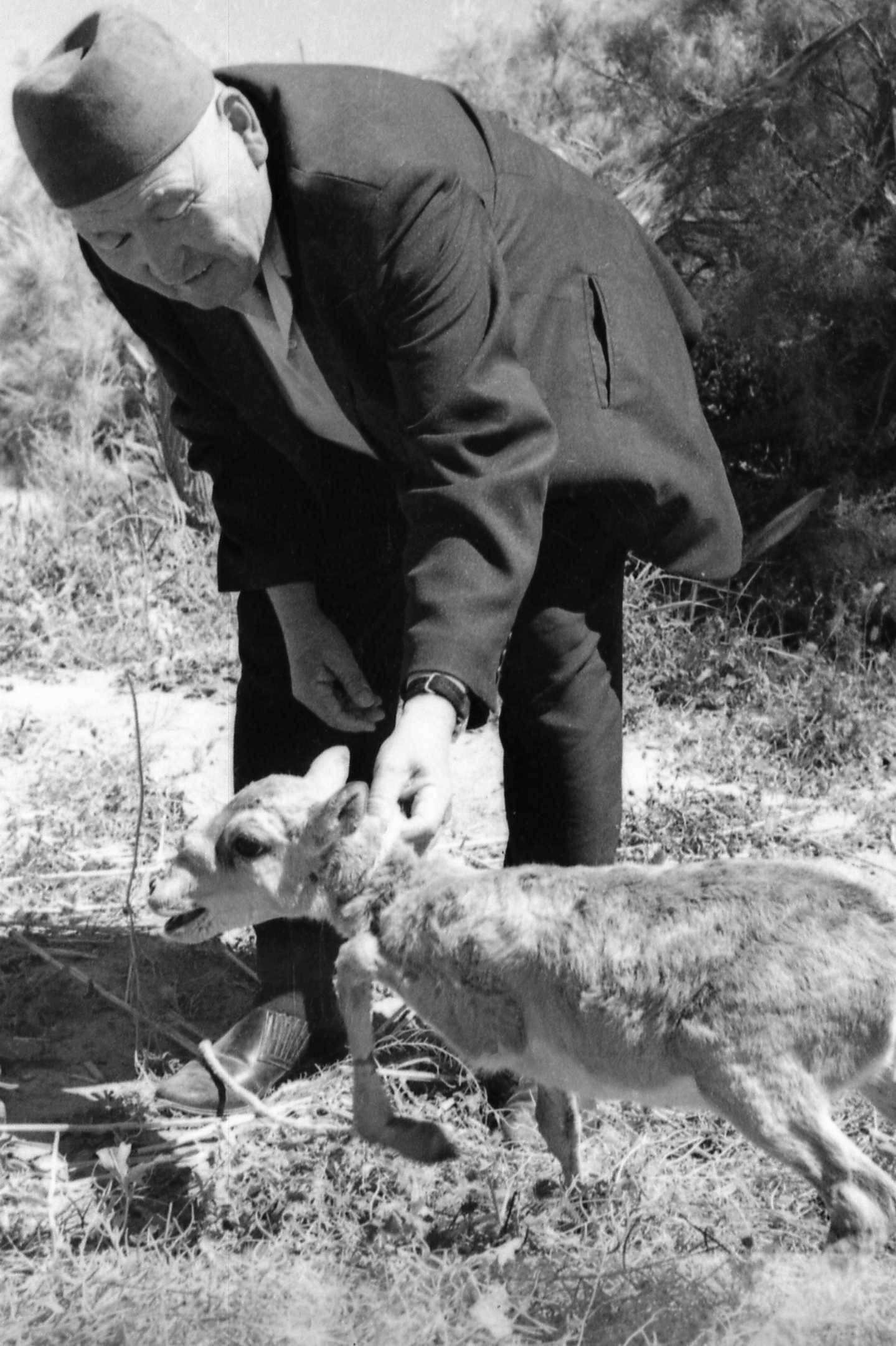 «Qyrǵı tildi Asqar» men quralaı