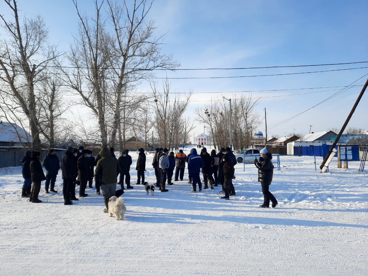 Aıyrtaýlyqtar da shoshqa fermasyn salýǵa qarsy