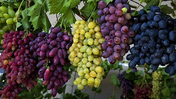 Koronavırýstyń aldyn alýǵa qandaı ónimder kómektesedi