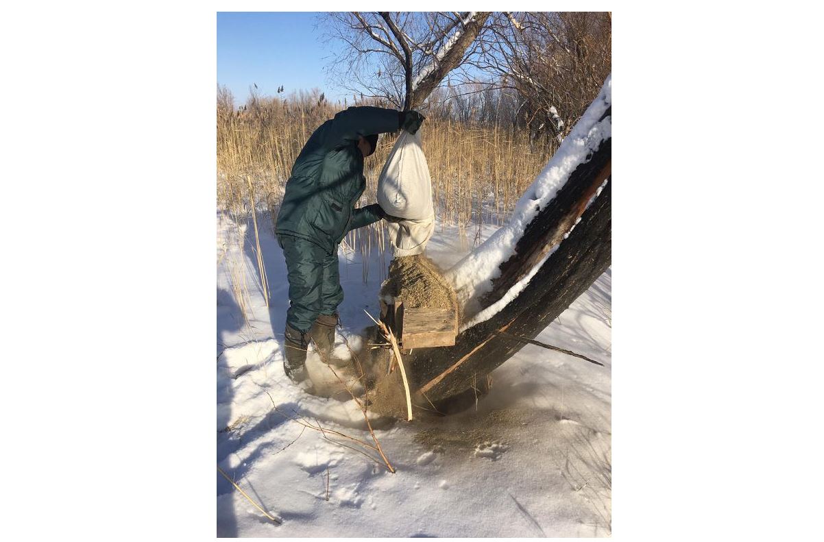 Janýarlarǵa jasalǵan janashyrlyq