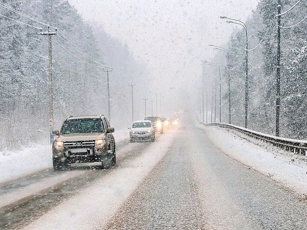Reseılik júrgizýshiler qutqaryldy