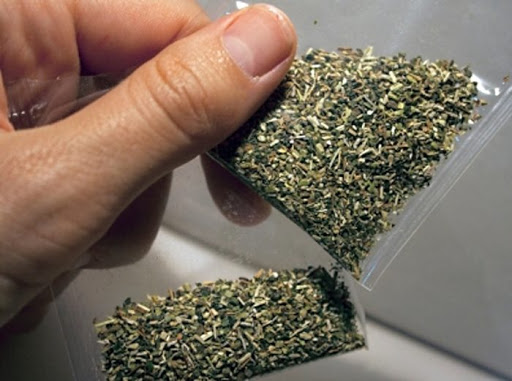 2020 jyly Mańǵystaýda 250 keliden astam esirtki tárkilendi