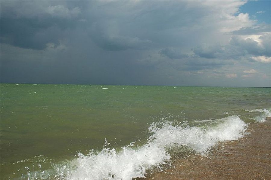 Shalqar kólin saqtap qalýdyń basty joly