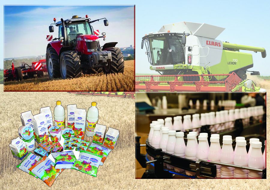 Barlyq salada ósim bar