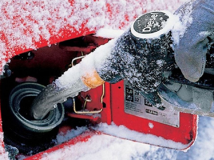 Aıazda qatpaıtyn «Altay-45» (Bul – dızeldiń jańa túri)