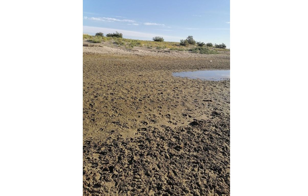 Oıyl ózeniniń ornyn sıpap qalmaıyq