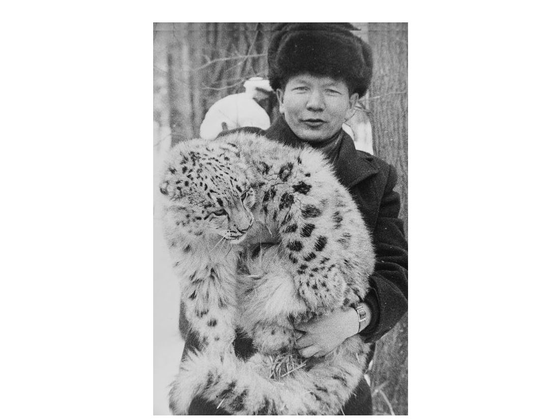 Janýarlardyń janashyry