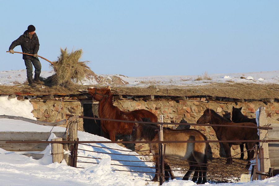 Ahýalyń qalaı, aýyldaǵy aǵaıyn?