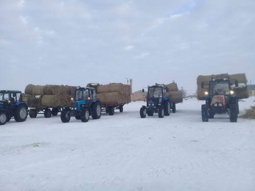 Jańaqala jigitteriniń jaqsy isi
