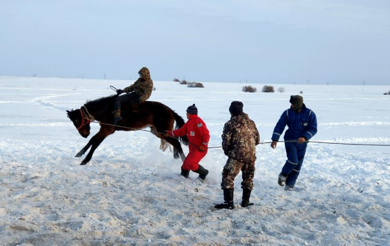 Júırik at, ushqyr tazy, shymyr jigit