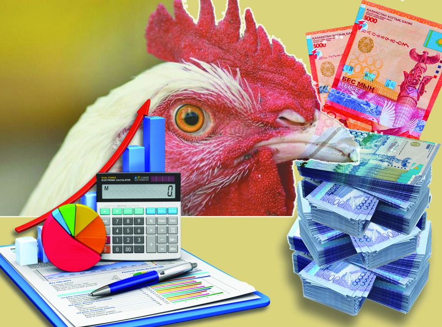 Qus tumaýynan zardap shekkenderge ótemaqy tólendi